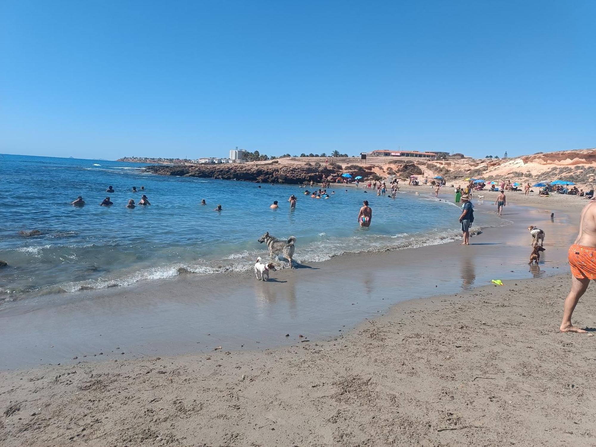 Ferienwohnung La Campana Dehesa de Campoamor  Exterior foto